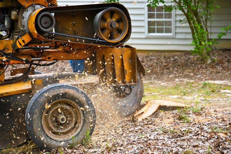 Stump Grinding Case Study