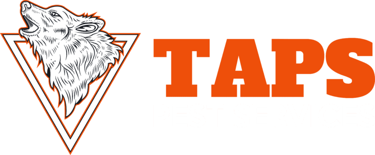 Nation Media Design | AI- Digital Marketing, SEO & Web Design Agency Google Ads Google Ads