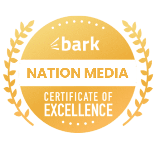 Nation Media Design | AI- Digital Marketing, SEO & Web Design Agency Google Ads Google Ads