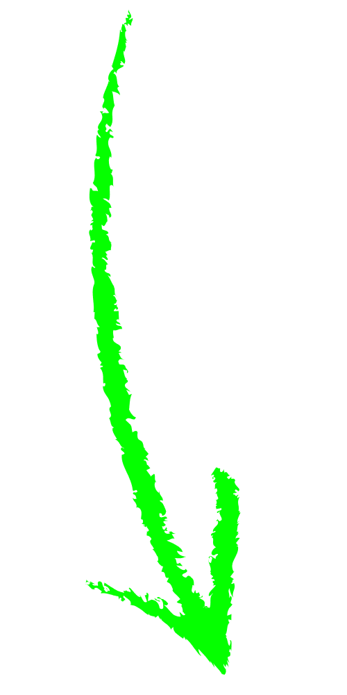 Nation Media Design | AI- Digital Marketing, SEO & Web Design Agency Google Ads Google Ads